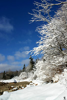 "Winter in Maine"