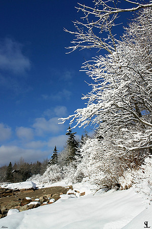 "Winter in Maine"