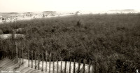 "Popham Beach"