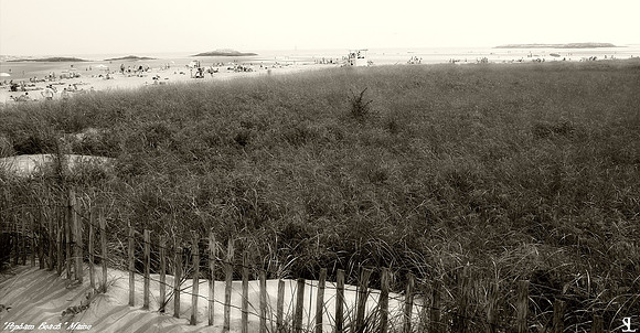 "Popham Beach"