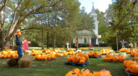 Pumpkin Patch