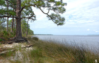 Ochlockonee Bay
