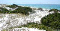 St. Joseph State park