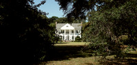 Live Oak Plantation