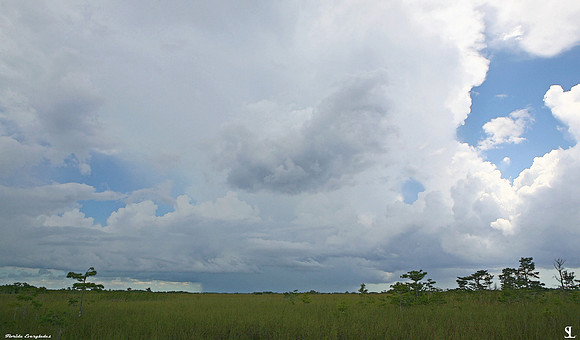 "Rain Shaft"
