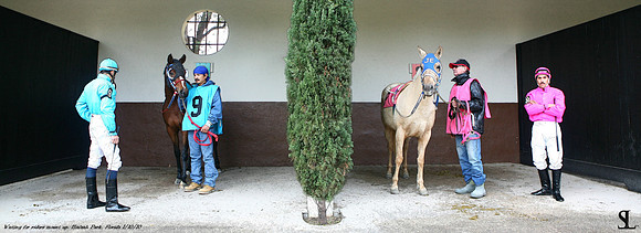 "Waiting For Riders Mount Up"