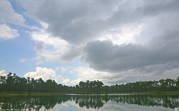 "Afternoon Storms Moving In"