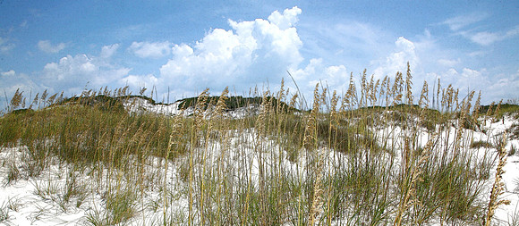 Cape San Blas