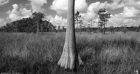Big Cypress Preserve